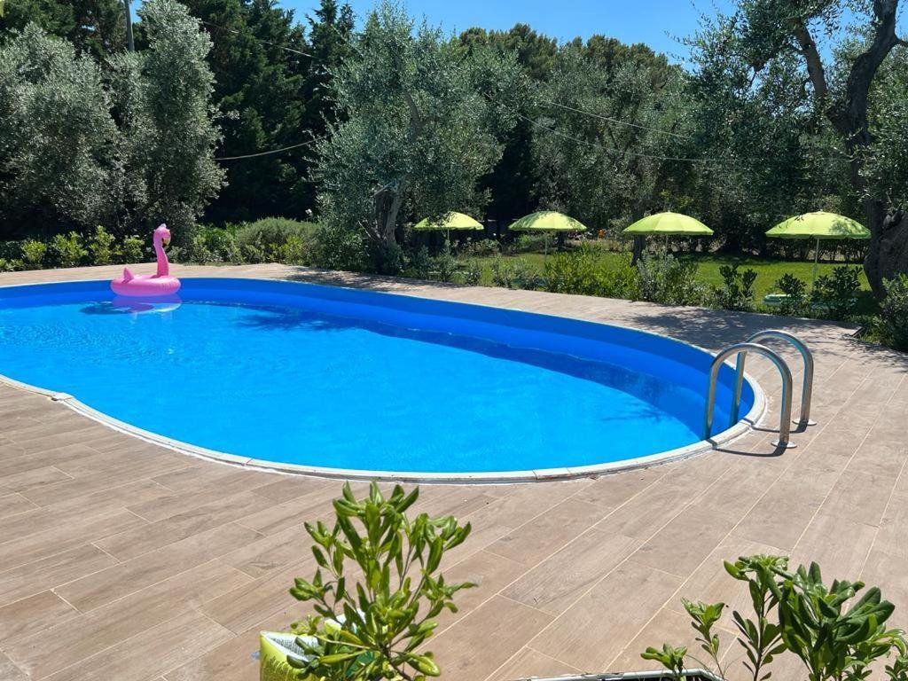 Villa Terra Nostra Vieste Exteriér fotografie