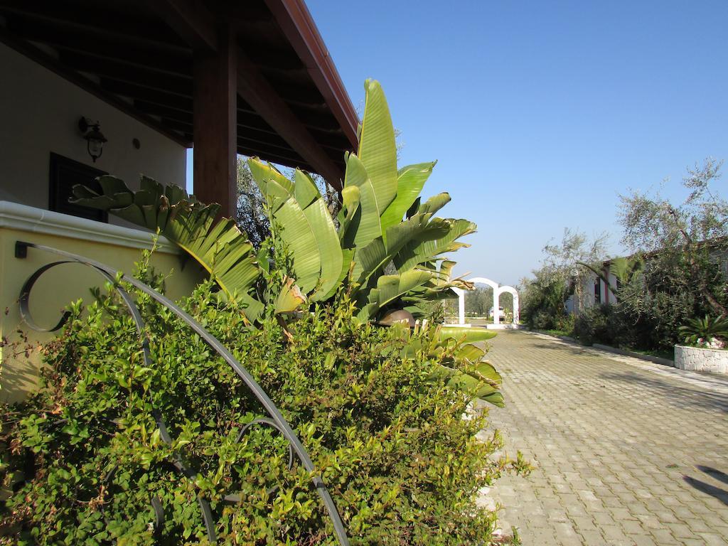 Villa Terra Nostra Vieste Exteriér fotografie